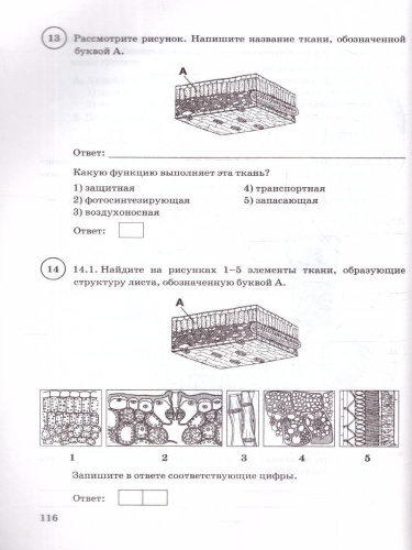 ВПР Биология 6 класс. Типовые задания. 15 вариантов. ФИОКО СТАТГРАД. ФГОС НОВЫЙ