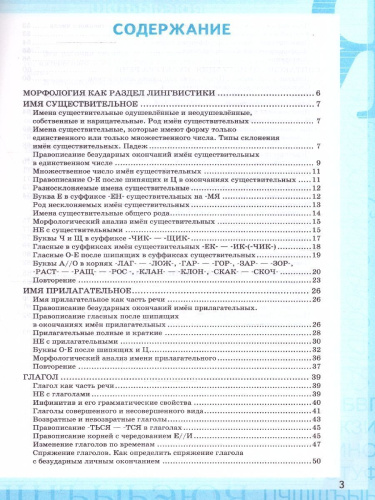 Русский язык 5 класс. Рабочая тетрадь (к новому учебнику). Часть 2. ФГОС НОВЫЙ