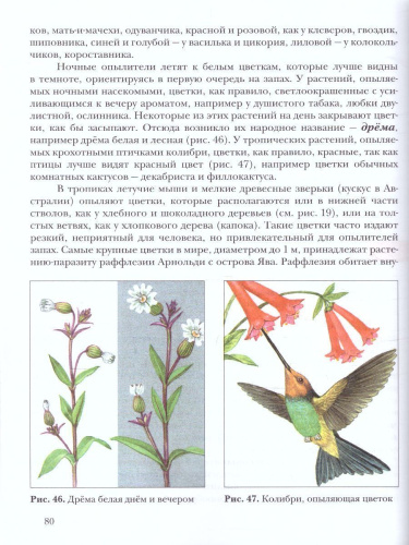 Экология растений 6 класс. Учебник