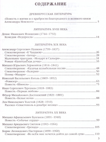 Анализ произведений русской литературы 8 класс. ФГОС НОВЫЙ