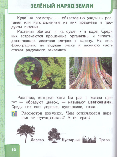 Окружающий мир 1 класс. Учебник. ФГОС