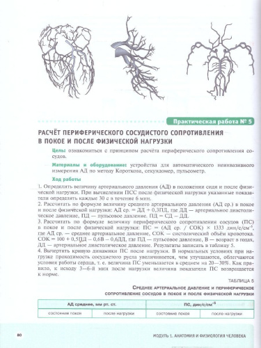 Шаг в медицину. Анатомия и физиология человека. Здоровье человека. Учебное пособие