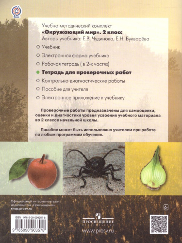 Окружающий мир 2 класс. Проверочные работы