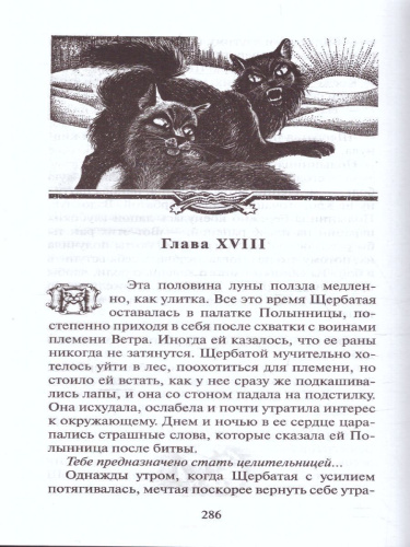 Коты-воители. Цикл "Тайна Щербатой". Предназначение