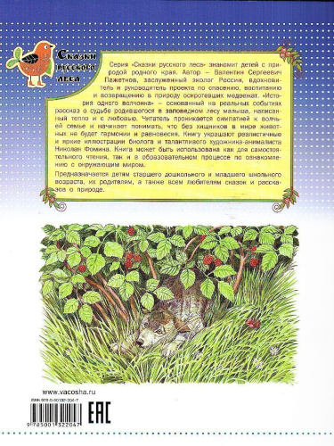 История одного волчонка (Сказки русского леса)