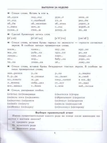 Тренировочные примеры по русскому языку 4 класс. Повторение