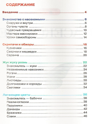 55593101-4