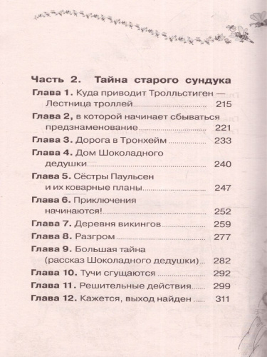Шоколадный дедушка. Тайна старого сундука. Большая детская библиотека