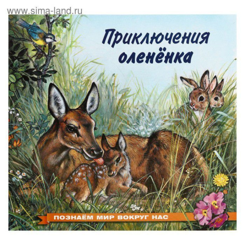 Познаем мир вокруг нас / Приключения олененка