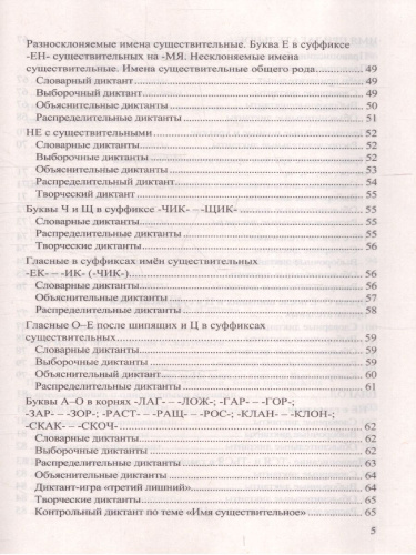 Русский язык 5 класс Диктанты К учебнику Т. А. Ладыженской