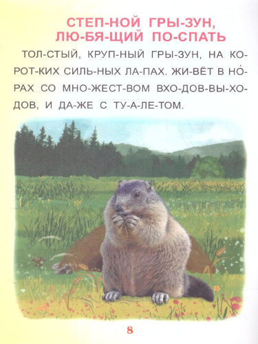 Читаем по слогам. Крупные буквы. Читалочки-познавалочки. Рассказы: слоговой тренажёр