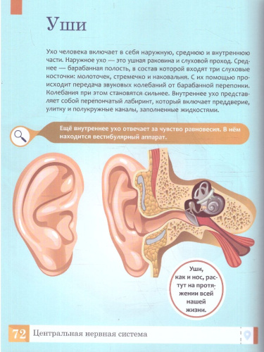 Энциклопедия. Тело человека. Умная энциклопедия