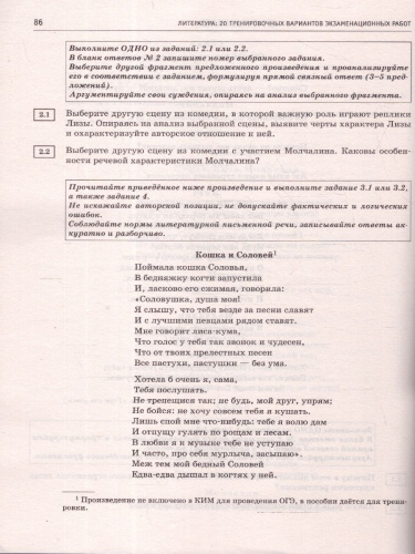 ОГЭ-2025 Литература. 20 тренировочных вариантов экзаменационных работ для подготовки к ОГЭ