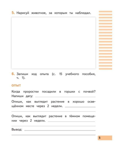 Окружающий мир 2 класс. Рабочая тетрадь. В 2-х частях. Часть 1 к новому учебному пособию