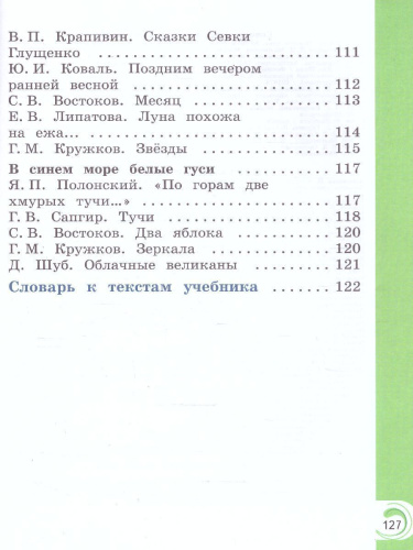 Литературное чтение на родном русском языке 1 класс. Учебник (ФП2022)