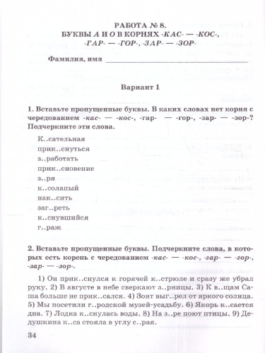 Русский язык 6 класс. Зачетные работы к учебнику М. Баранова