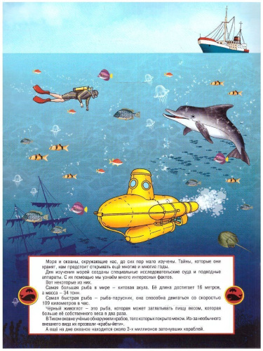 Книжка-раскраска с наклейками. Морские животные