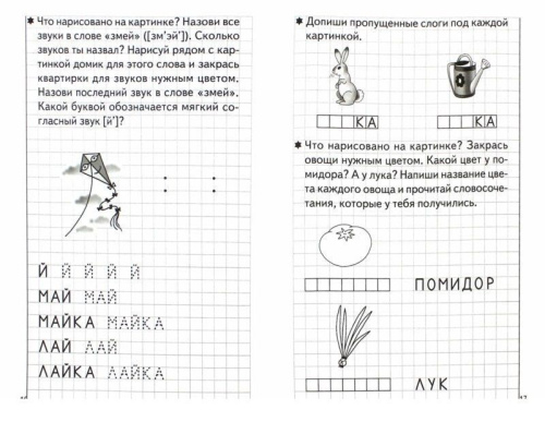 Развиваем навыки чтения и грамотного письма. Рабочая тетрадь для детей 5-6 лет. Часть 2