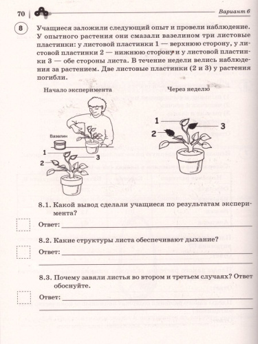 ВПР-2022. Биология 6 класс. 10 тренировочных вариантов.
