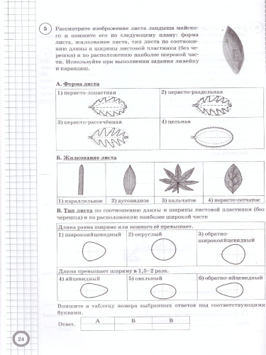 ВПР Биология 6 класс. 10 вариантов. ФИОКО СТАТГРАД ТЗ ФГОС