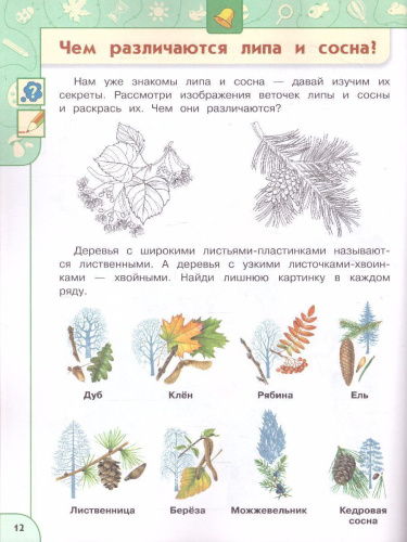Прогулки по Зелёной планете 5-7 лет. Учебное пособие для образовательных организаций