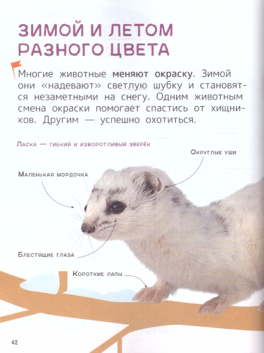 Животные. Энциклопедия для первого чтения с крупными буквами, изд.: Росмэн, авт.: Гальцева С. Н., Кл