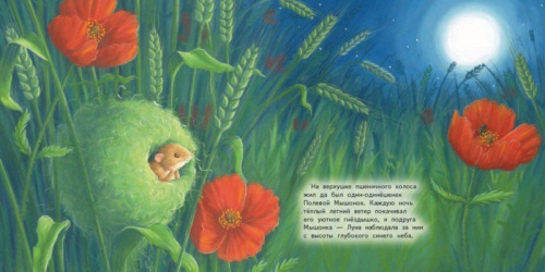 Мышонок и Луна