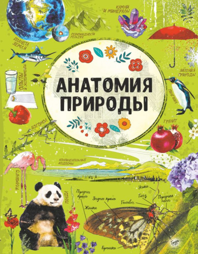 Анатомия природы /Анатомия всего