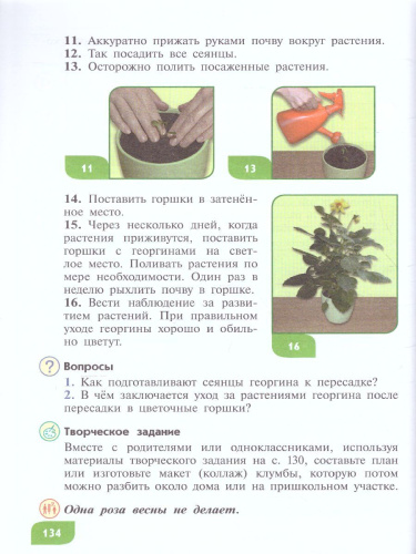 Технология 5 класс. Цветоводство и декоративное садоводство (для обучающихся с интеллектуальными нарушениями)