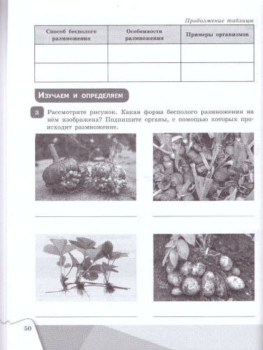 Биология. 9 класс. Рабочая тетрадь