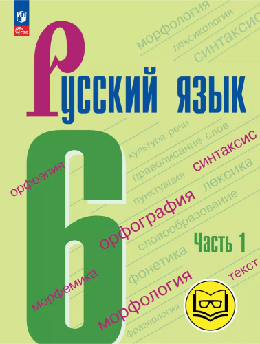Русский язык. 6 класс. Учебное пособие. В 5 частях. Часть 1 (для слабовидящих обучающихся)
