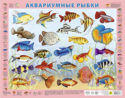 Детский пазл на подложке. Аквариумные рыбки. (36х28 см, 63 элемента)