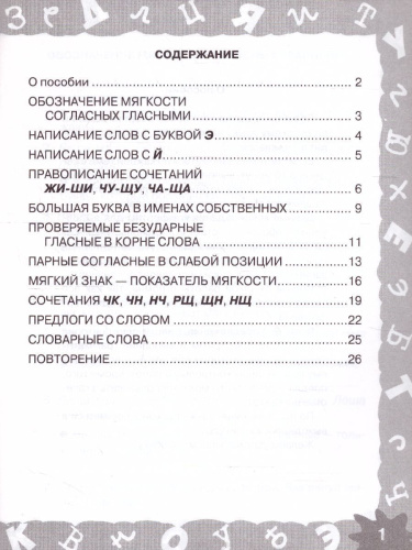 Русский язык 1 класс. Мини-задания на все правила и орфограммы
