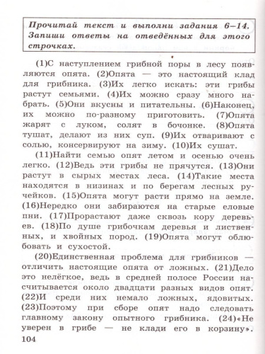 ВПР Математика, Русский язык. 4 класс. 15 вариантов. Типовые задания. ФГОС