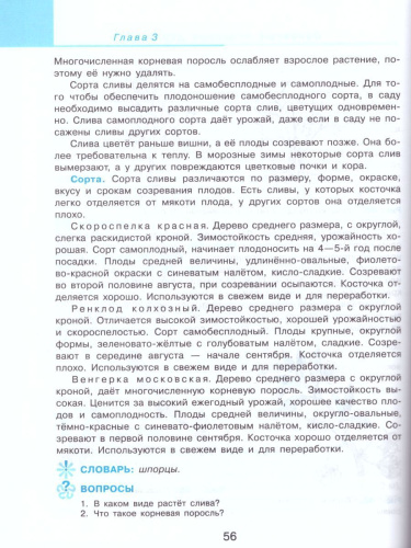 Технология 7 класс. Сельскохозяйственный труд. Учебник. Для специальных (коррекционных) образовательных учреждений VIII вида