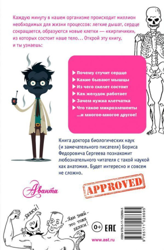 Как устроен человек