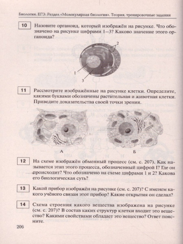 ЕГЭ-2021. Биология 11 класс. Раздел Молекулярная Биология. Тренировочная тетрадь