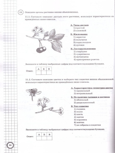 ВПР Биология 6 класс. Типовые задания. 10 вариантов