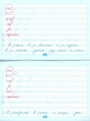 Чистописание и словарные слова 1 класс. По программе Школа России