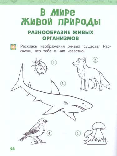 Окружающий мир 1 класс. Рабочая тетрадь. ФГОС