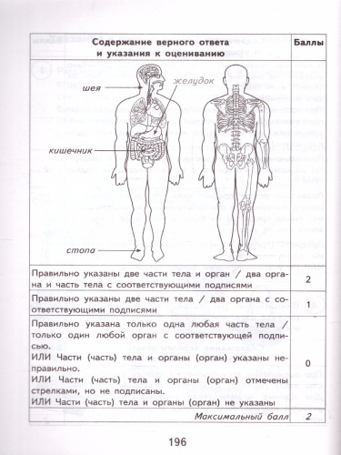 ВПР Окружающий мир 4 класс. 15 вариантов ФИОКО СТАТГРАД.ТЗ.ФГОС