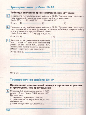 55623741-3