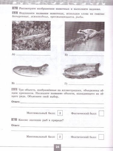 Биология 7 класс. Проверочные работы в формате ВПР.