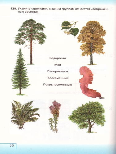 Биология 5 класс. Введение в биологию. Рабочая тетрадь с тестовыми заданиями ЕГЭ. Вертикаль. ФГОС