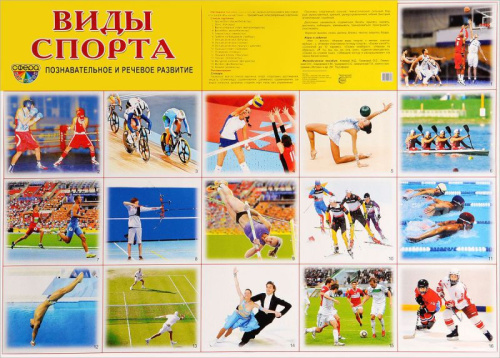 Демонстрационный плакат Виды спорта /А2