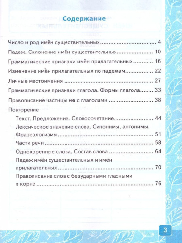 Русский язык 3 класс. Контрольные работы. К учебнику Канакиной, Горецкого. Часть 2. ФГОС Новый