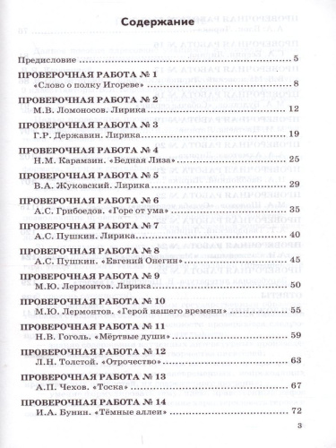 Литература 9 класс. Проверочные работы. ФГОС