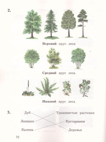 Окружающий мир 2 класс. Тетрадь для проверочных работ № 2. ФГОС