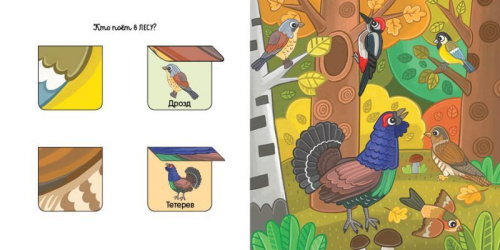 Кто где живет