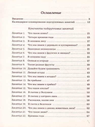 Развиваем связную речь у детей 6-7 лет с ОНР. Конспекты подгрупповых занятий логопеда